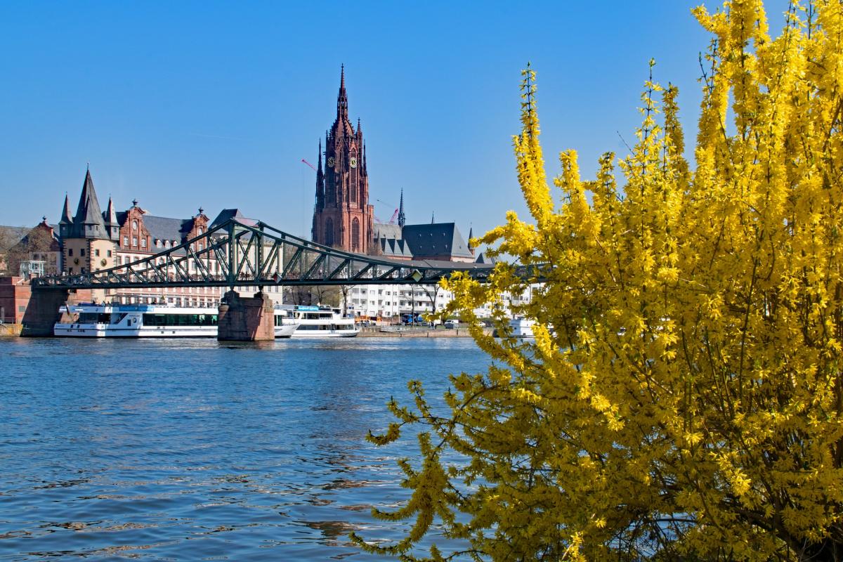 Schöner Blick auf Frankfurt – nur die Aussichten auf eine günstige Neubauwohnung sind weniger gut